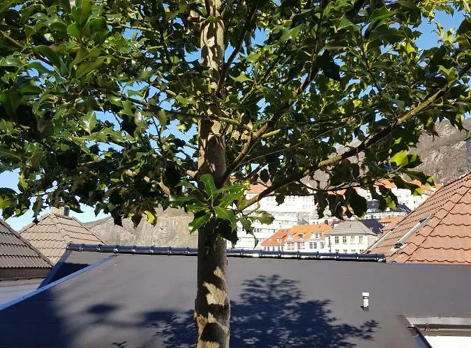 Skuteviken 40 招待所 卑爾根