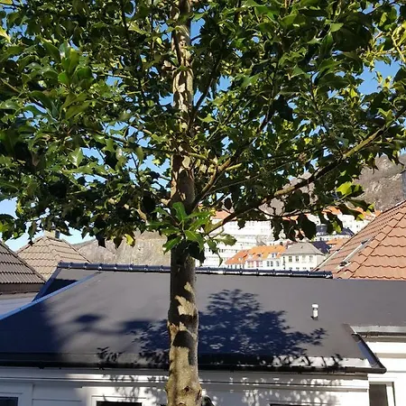 Skuteviken 40 Guest house Bergen
